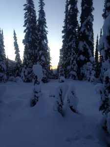Winter Scene Around Hermit Thrush Cabin