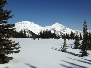 Winter View Around Hermit Thrush Cabin